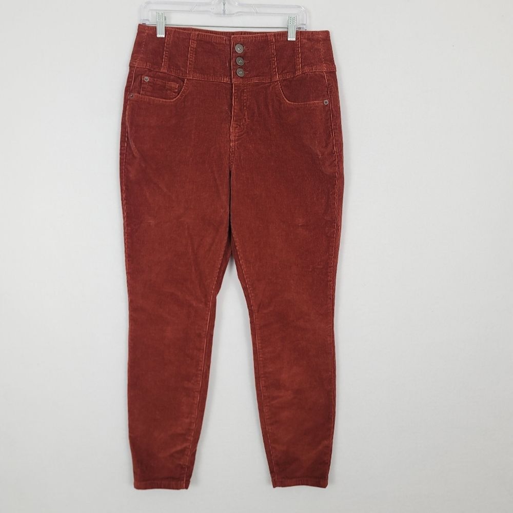 Copper Brown Size 15 Corduroy High Rise Sculpting Skinny Pants Hippie 70s